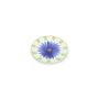Teller flach 20cm Fleur