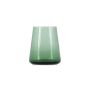 Glass 30cl dark green Ray - set/4