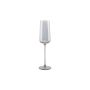Champagnerglas 24cl smoked Ray - Set/4