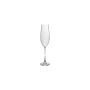 Champagne glass 29cl Saga - set/4